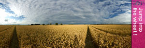Jump into the wheat ! :: 