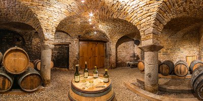 Les vins du Jura