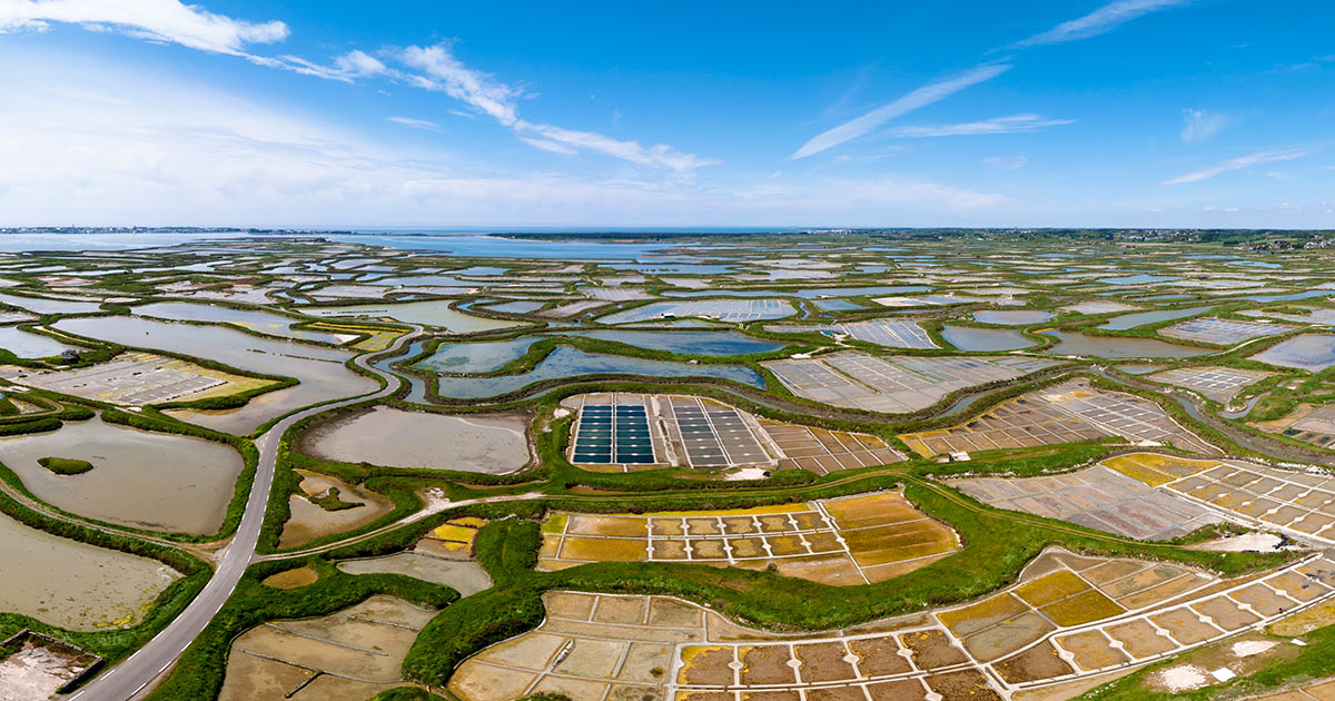 Marais salants de Guérande