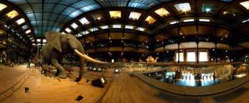 Grande galerie de l'Evolution - Muséum d'Histoire naturelle