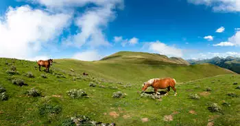 Les Estives - Pyrénées Basque